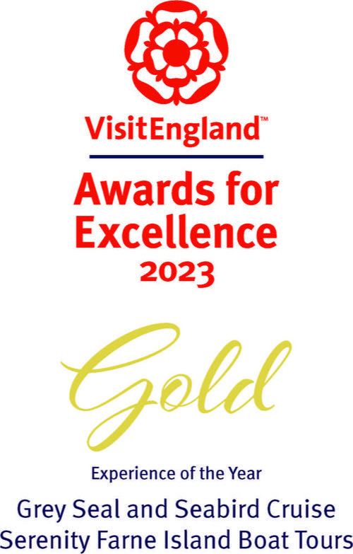 Visit England Awards for Excellence 2023 Gold Experience of the Year