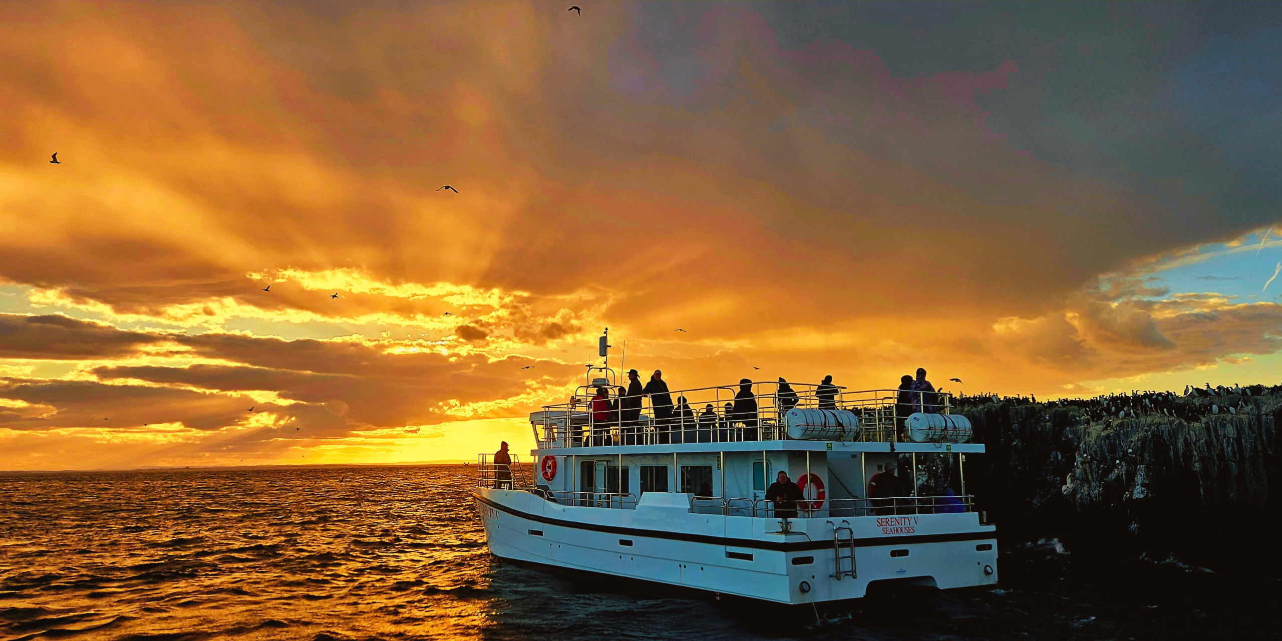 Farne Islands Sunset Cruise